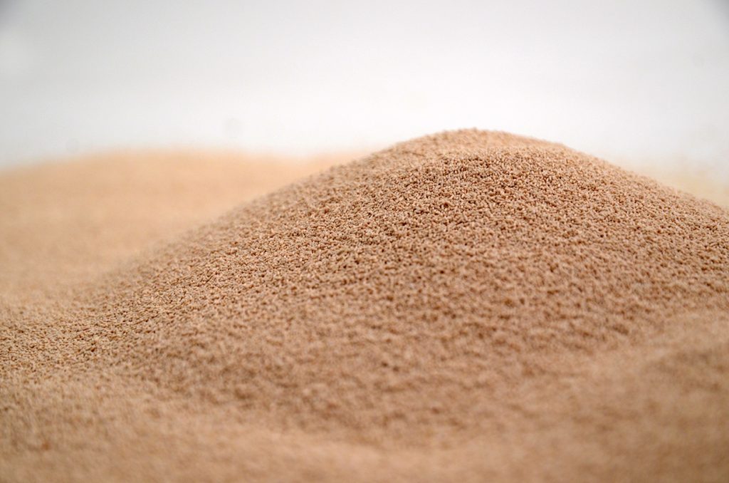fermentis